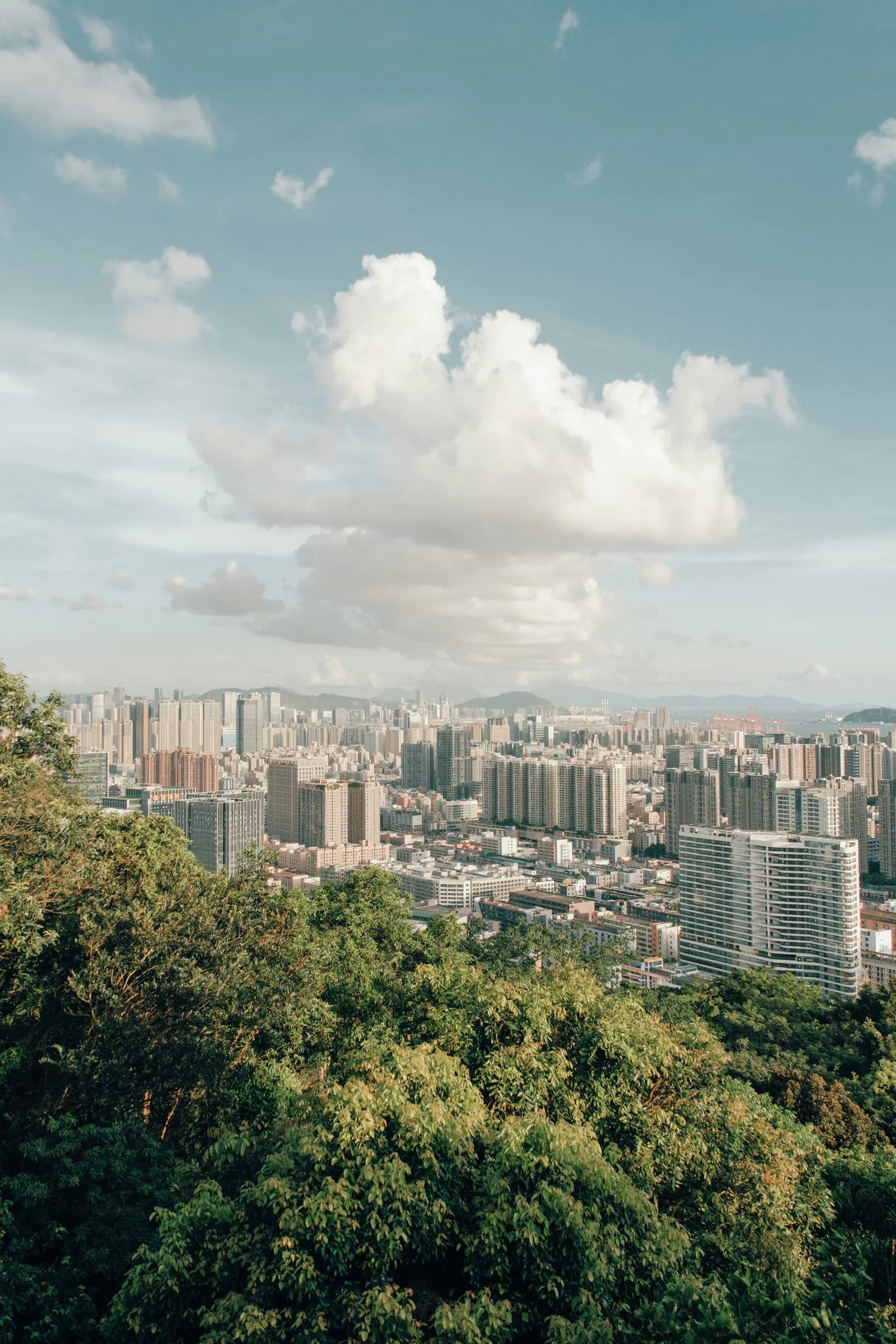 Modern Shenzhen skyline viewed from a green hillside