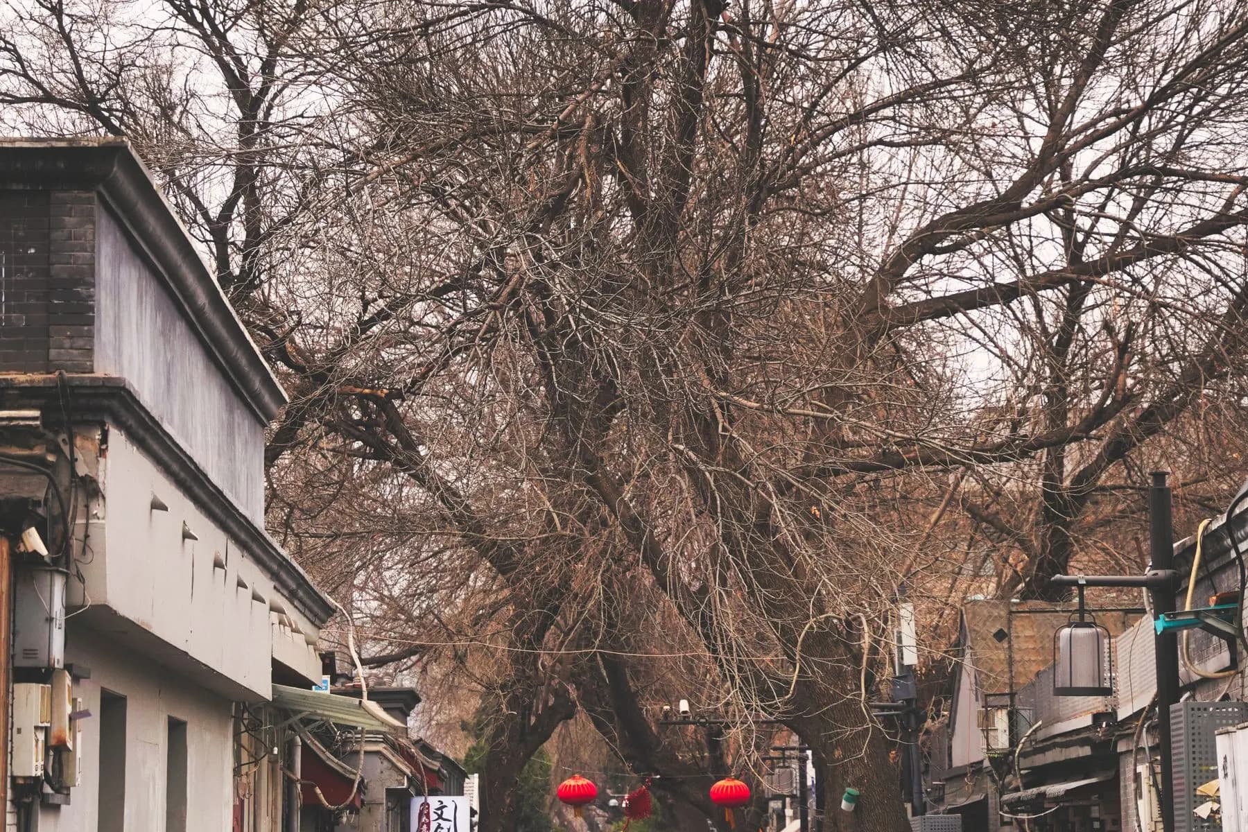 Pedestrians, scooters and traditional buildings on a Beijing hutong street