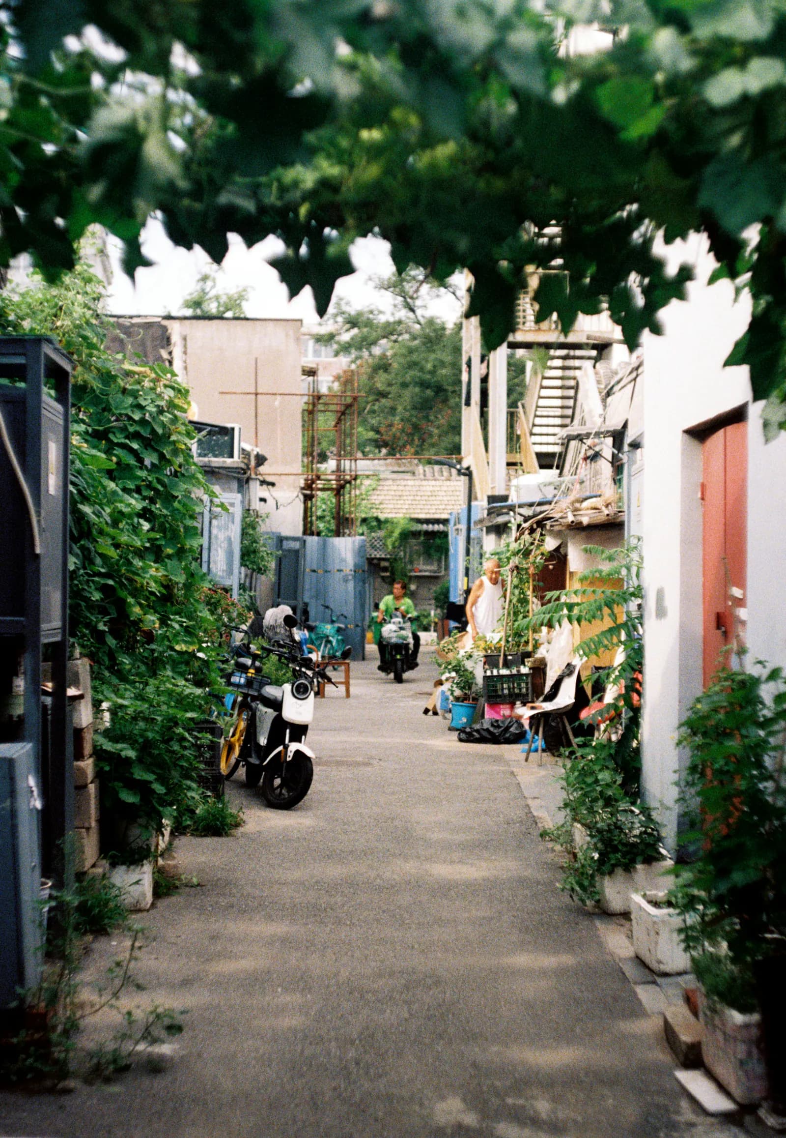 A quiet leafy hutong lane in Beijing with bicycles and local residents
