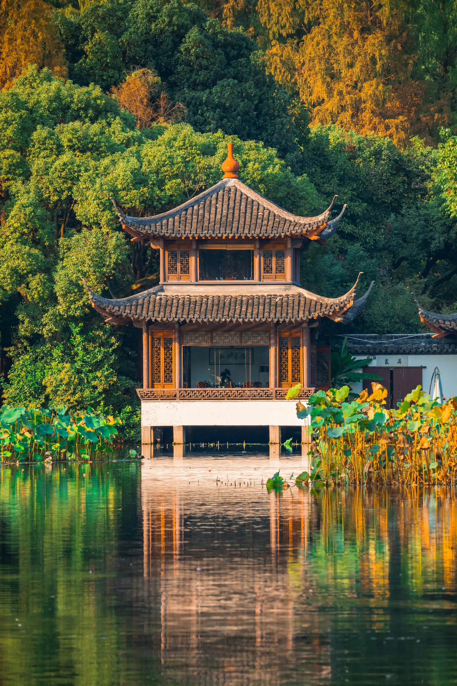 Traditional pavilion and lotus water at West Lake in Hangzhou